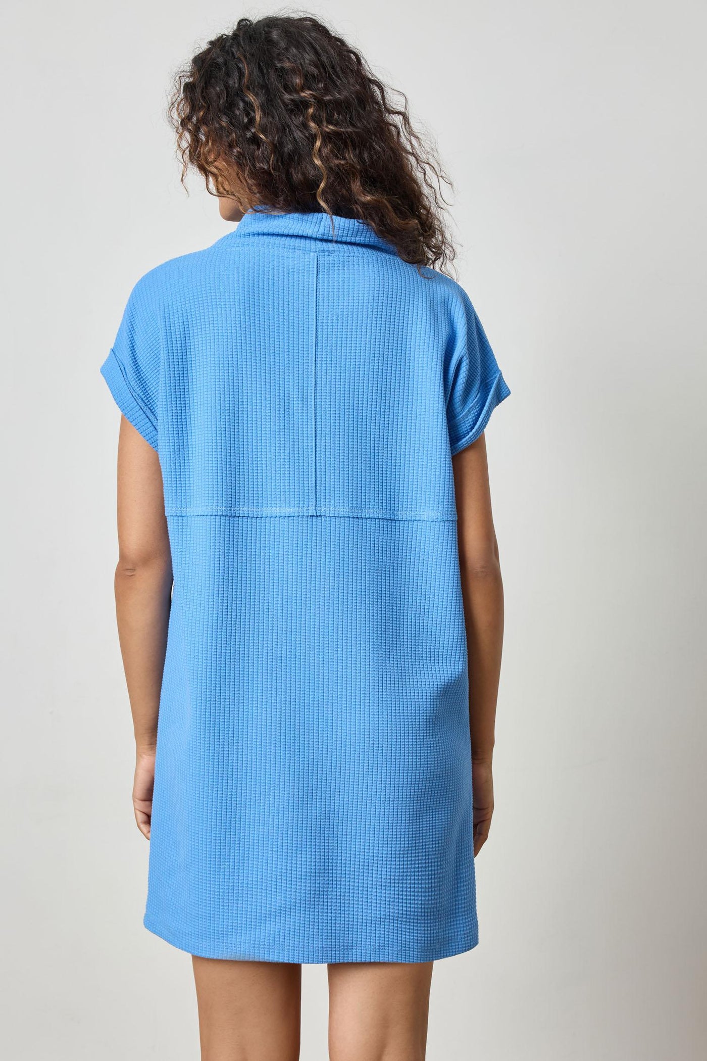 Roll Sleeve Seamed Dress